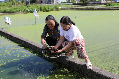 <a href="/nong-thon-moi" title="Nông thôn mới" rel="dofollow">Nông thôn mới</a>