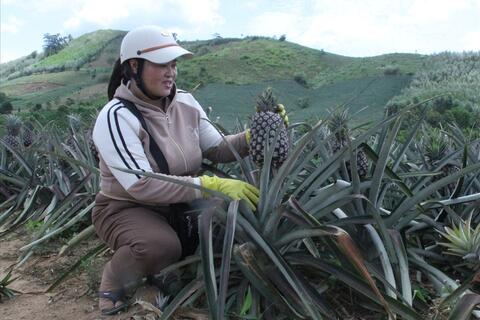<a href="/nong-nghiep" title="Nông nghiệp" rel="dofollow">nông nghiệp</a>