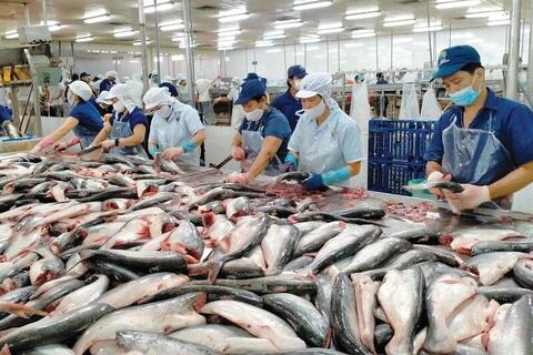 <a href="/xuat-khau" title="Xuất khẩu" rel="dofollow">Xuất khẩu</a>