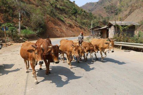 <a href="/nong-thon-moi" title="Nông thôn mới" rel="dofollow">Nông thôn mới</a>