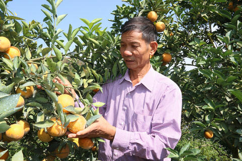 <a href="/nong-nghiep" title="Nông nghiệp" rel="dofollow">nông nghiệp</a>