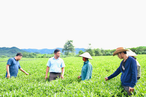 <a href="/nong-thon-moi" title="Nông thôn mới" rel="dofollow">Nông thôn mới</a>