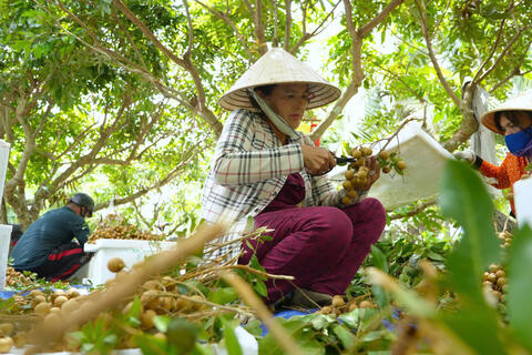 <a href="/nong-thon-moi" title="Nông thôn mới" rel="dofollow">Nông thôn mới</a>