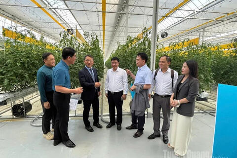 <a href="/nong-thon-moi" title="Nông thôn mới" rel="dofollow">Nông thôn mới</a>