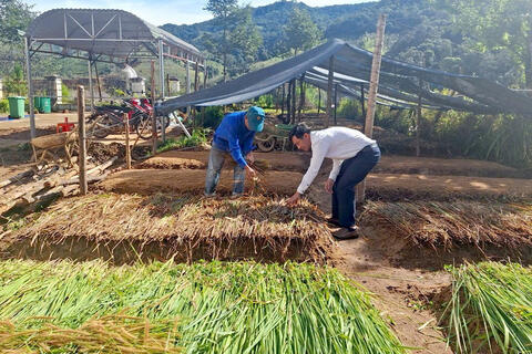 <a href="/nong-thon-moi" title="Nông thôn mới" rel="dofollow">Nông thôn mới</a>