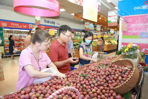 <a href="/xuat-khau" title="Xuất khẩu" rel="dofollow">Xuất khẩu</a>