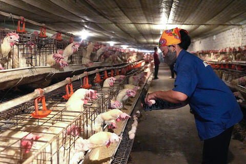 <a href="/nong-nghiep" title="Nông nghiệp" rel="dofollow">nông nghiệp</a>