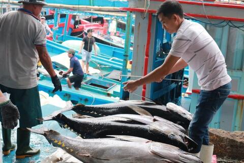 <a href="/nong-nghiep" title="Nông nghiệp" rel="dofollow">nông nghiệp</a>