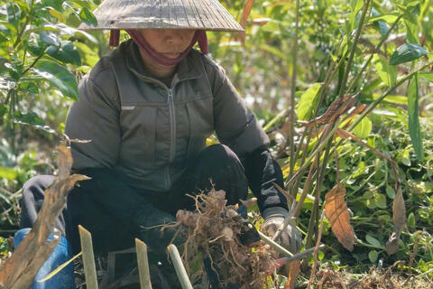 <a href="/nong-thon-moi" title="Nông thôn mới" rel="dofollow">Nông thôn mới</a>