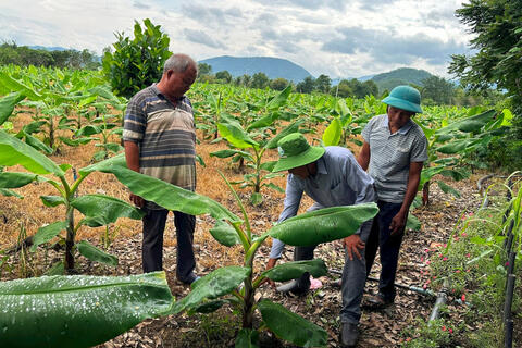 <a href="/nong-thon-moi" title="Nông thôn mới" rel="dofollow">Nông thôn mới</a>