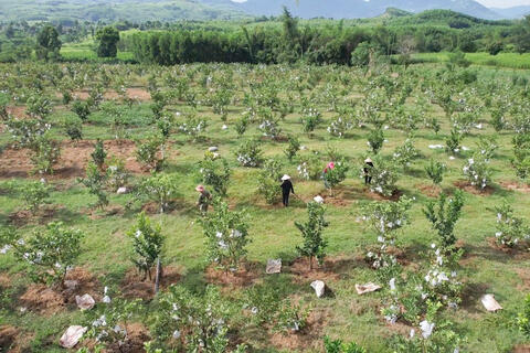 <a href="/nong-thon-moi" title="Nông thôn mới" rel="dofollow">Nông thôn mới</a>