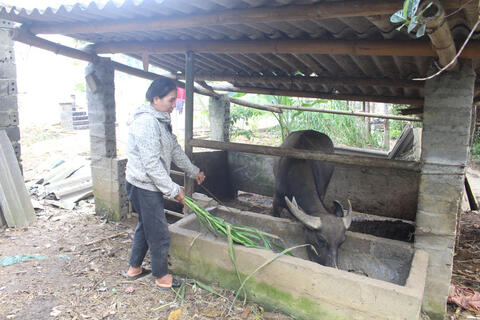 <a href="/nong-thon-moi" title="Nông thôn mới" rel="dofollow">Nông thôn mới</a>