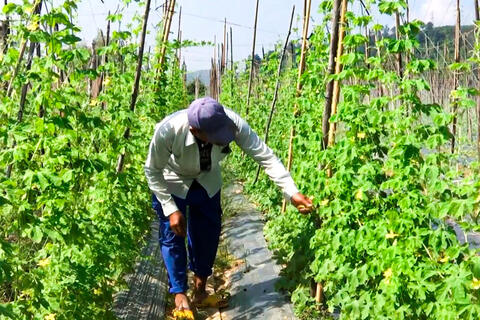 <a href="/nong-thon-moi" title="Nông thôn mới" rel="dofollow">Nông thôn mới</a>