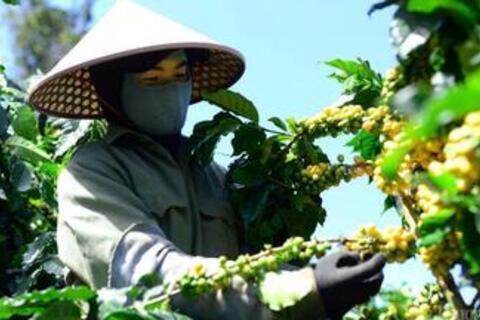 <a href="/nong-nghiep" title="Nông nghiệp" rel="dofollow">nông nghiệp</a>