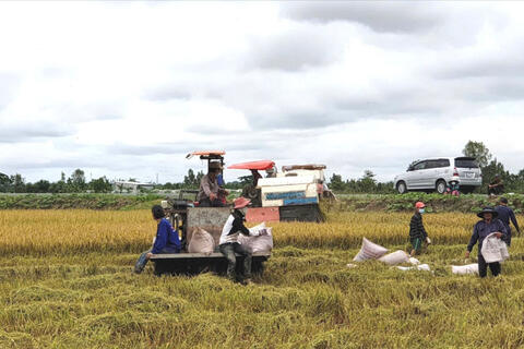 <a href="/nong-nghiep" title="Nông nghiệp" rel="dofollow">nông nghiệp</a>