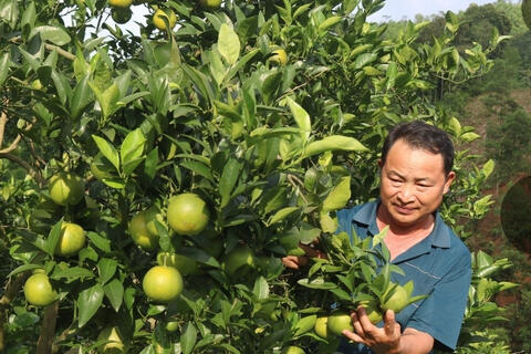 <a href="/nong-thon-moi" title="Nông thôn mới" rel="dofollow">Nông thôn mới</a>