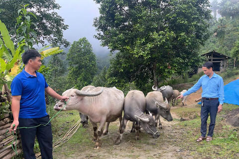 <a href="/nong-nghiep" title="Nông nghiệp" rel="dofollow">nông nghiệp</a>