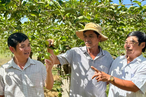 <a href="/nong-thon-moi" title="Nông thôn mới" rel="dofollow">Nông thôn mới</a>