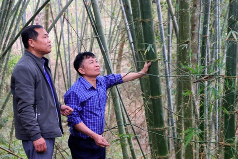 <a href="/chinh-sach" title="Chính sách" rel="dofollow">Chính sách</a>