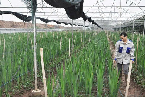 <a href="/nong-thon-moi" title="Nông thôn mới" rel="dofollow">Nông thôn mới</a>