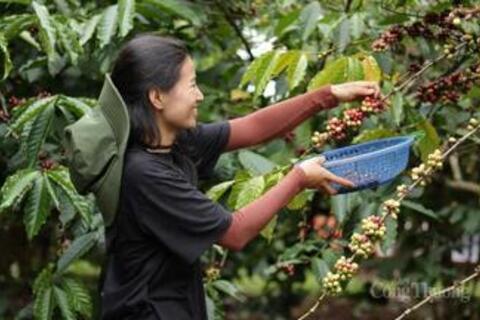 <a href="/nong-nghiep" title="Nông nghiệp" rel="dofollow">nông nghiệp</a>