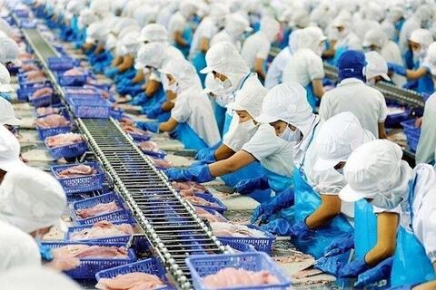 <a href="/xuat-khau" title="Xuất khẩu" rel="dofollow">Xuất khẩu</a>