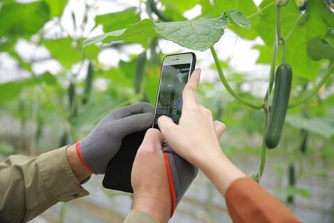 <a href="/nong-nghiep" title="Nông nghiệp" rel="dofollow">nông nghiệp</a>