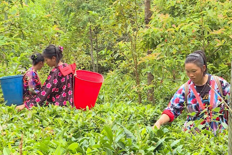 <a href="/nong-thon-moi" title="Nông thôn mới" rel="dofollow">Nông thôn mới</a>