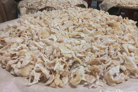 <a href="/nong-nghiep" title="Nông nghiệp" rel="dofollow">nông nghiệp</a>