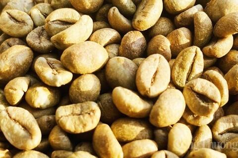 <a href="/nong-nghiep" title="Nông nghiệp" rel="dofollow">nông nghiệp</a>