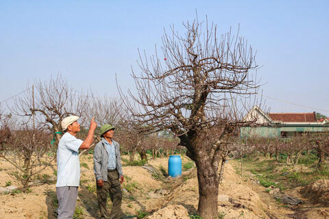 <a href="/nong-nghiep" title="Nông nghiệp" rel="dofollow">nông nghiệp</a>