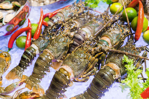 <a href="/xuat-khau" title="Xuất khẩu" rel="dofollow">Xuất khẩu</a>