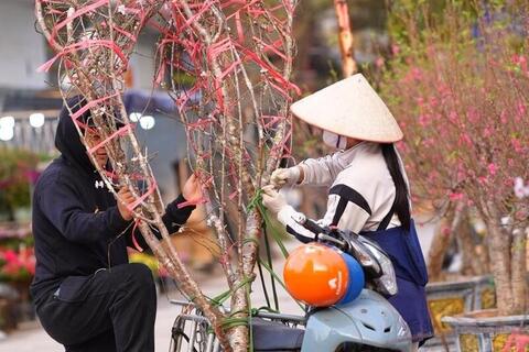 <a href="/nong-nghiep" title="Nông nghiệp" rel="dofollow">nông nghiệp</a>