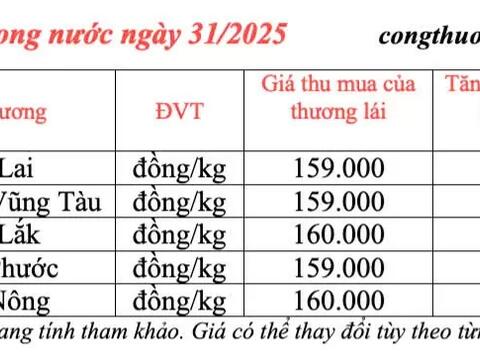 Giá tiêu hôm nay 31/3/2025, thị trường neo ở mức cao