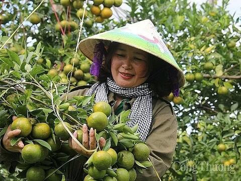 Đắk Nông đẩy mạnh kết nối, mở rộng đầu ra cho sản phẩm OCOP