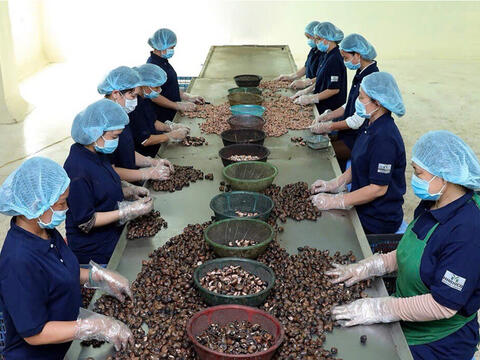 Chủ động kịch bản ứng phó xung đột Trung Đông, ổn định chuỗi nông sản