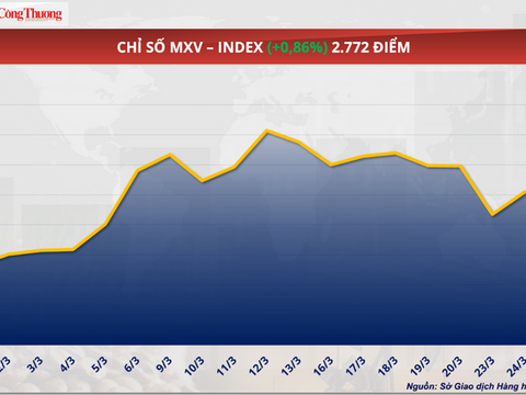 Giá lúa mì bật tăng mạnh do lo ngại nguồn cung