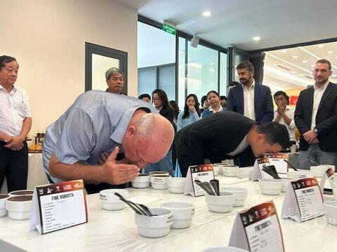 Tham vọng mới của cà phê Robusta Việt Nam