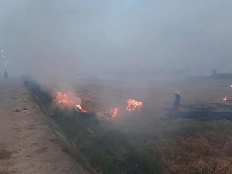 Hà Nội xử lý nghiêm tình trạng đốt rơm rạ, rác thải tự phát