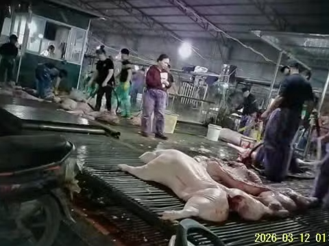 Vụ 300 tấn thịt lợn bệnh vào bếp ăn tập thể: 'Bịt' kẽ hở thực phẩm bẩn từ gốc