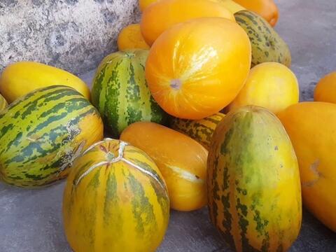 Giá nông sản hôm nay 22/4/2026: Tăng, giảm trái chiều