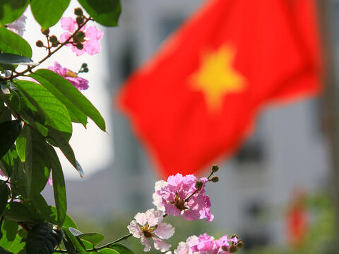 Hoa bằng lăng khoe sắc tím khắp đường phố Thủ đô