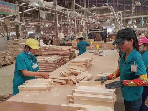 Xây dựng dữ liệu vùng trồng để mở đường cho nông, lâm sản vào EU