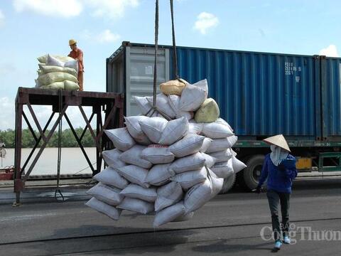 Cục Xuất nhập khẩu cập nhật thông tin về Lệnh 280 của Trung Quốc