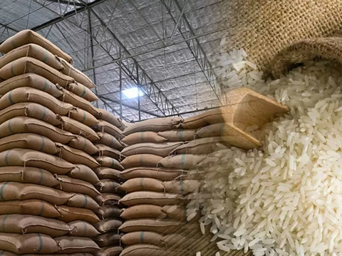 Gạo phát thải thấp trước ‘cuộc sàng lọc xanh’ của thị trường