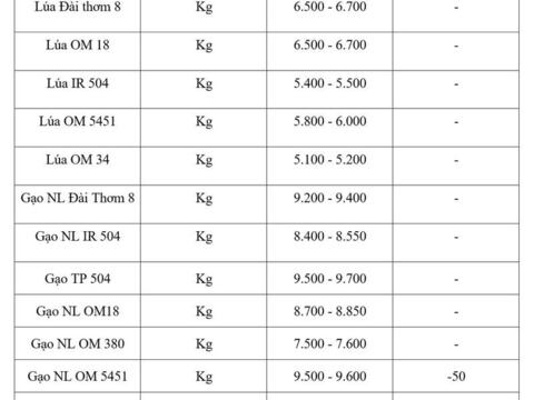Giá lúa gạo hôm nay ngày 25/5/2026: Gạo xuất khẩu đảo chiều giảm nhẹ