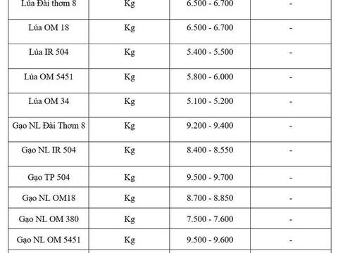 Giá lúa gạo hôm nay ngày 27/5/2026: Gạo thơm dẻo xuất khẩu neo cao
