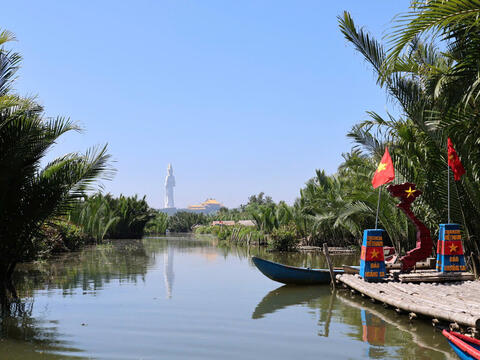 Quảng Ngãi: ‘Massage’ cho dừa nước lấy mật