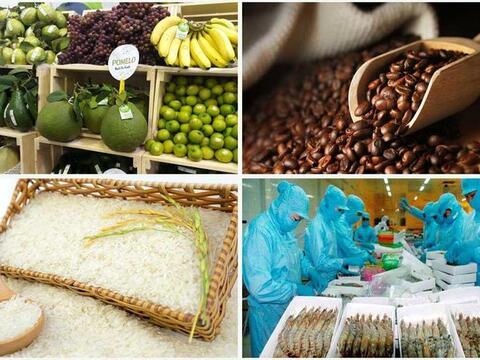 Tăng cường giám sát cộng đồng về an toàn thực phẩm nông lâm thủy sản