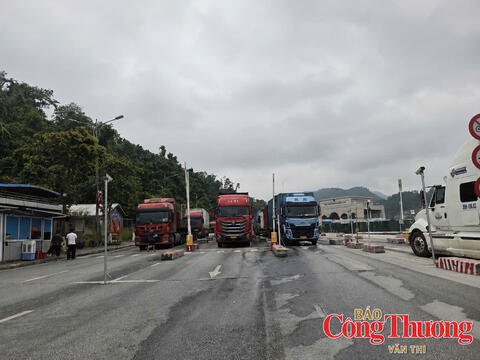 Cập nhật tin xuất nhập khẩu qua các cửa khẩu Lạng Sơn ngày 29/7/2026